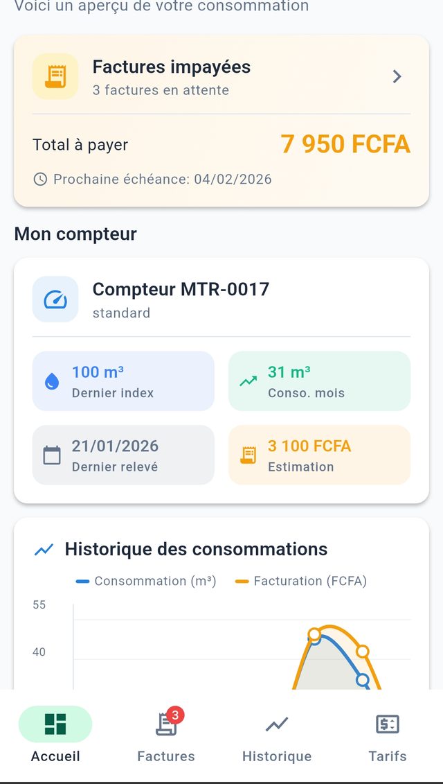 Espace consommateur GesVillage : compteur, factures impayées et estimation du mois